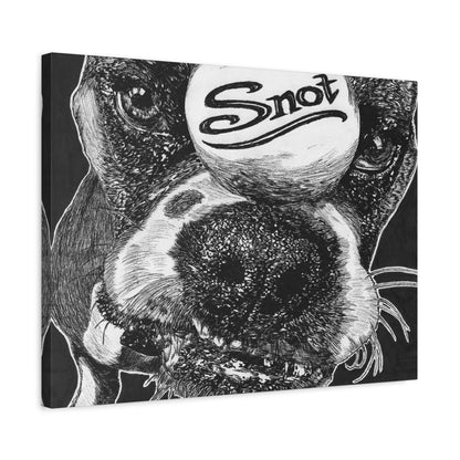 Snot's Self Titled Album, Matte Canvas
