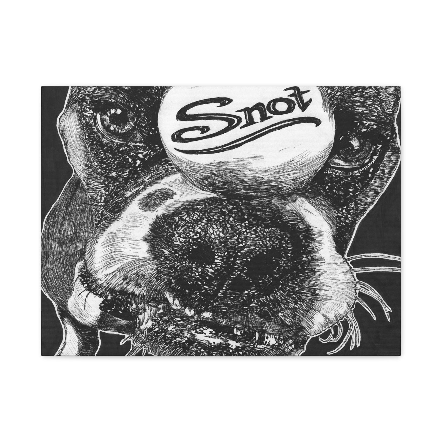 Snot's Self Titled Album, Matte Canvas
